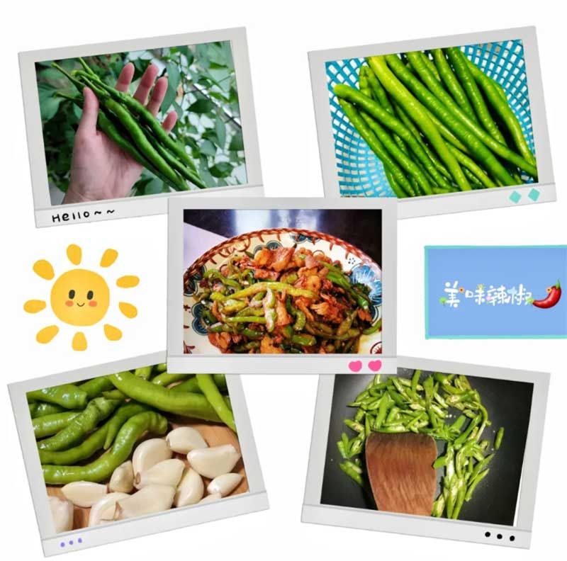 朝陽農藝師系列活動