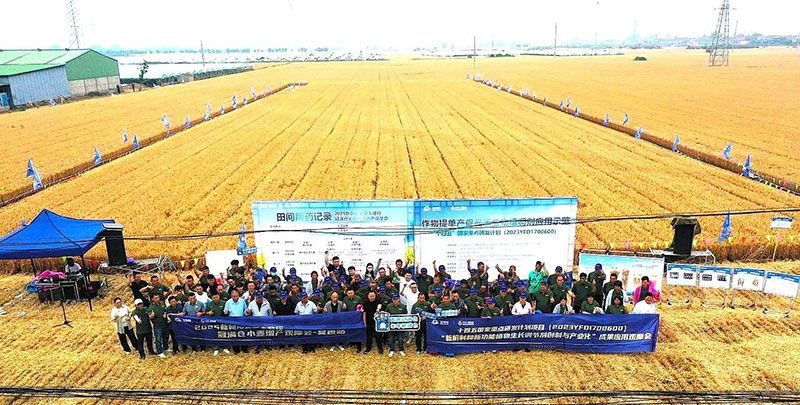生物技術(shù)助力糧食單產(chǎn)顯著提升-“十四五”國家重點研發(fā)計劃成果應(yīng)用觀摩會圓滿落幕