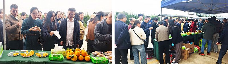 新朝陽生物技術助力綠色防控，推動柑橘產業綠色高質量發展